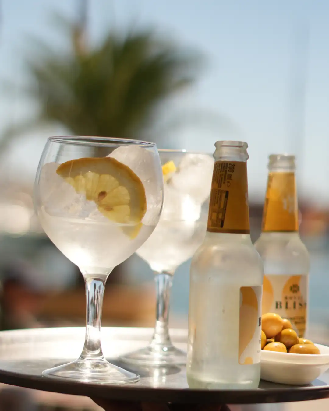 Gin tonics en el camarote